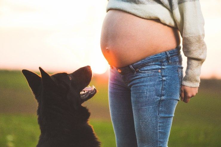 Gravidanza con un animale domestico